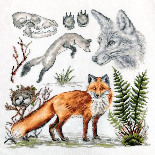 (image for) Zoology - A Red Fox